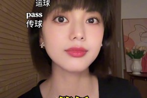 一开始还以为AI手工大佬花三个月时间给猫猫做了个篮球馆